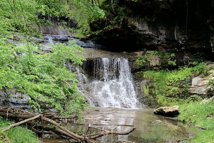 Quiverheart Gorge Preserve in Adams County is a deep dolomite gorge with breathtaking rock formations, drifts of wildflowers, and seasonal waterfalls.