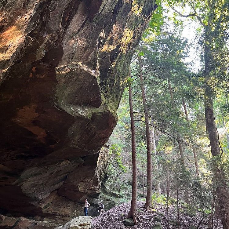 Sylvan Deep Preserve in Jackson County is destined to be one of the most beautiful preserves in the Arc of Appalachia system. Trails are currently under development.