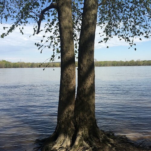 Picturesque riverfront scenes such as this will attract enthusiasts of the natural word to the property. Plans will include interpretive panels and signage to help educate visitors about the property’s history.