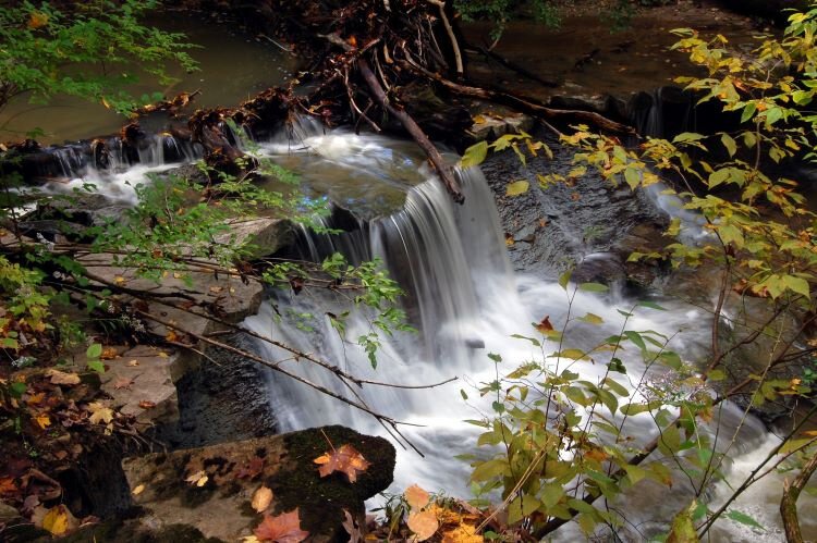 A waterfall provides a breathtaking Cincinnati Nature Center vista. 
