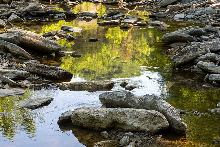 Bender Mountain formerly spanned approximately 50 acres, but more than doubled in size last summer when the Sisters of Charity of Cincinnati gifted 73 additional acres.