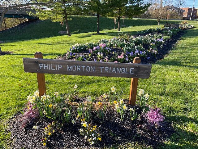 Morton Triangle spring bloom