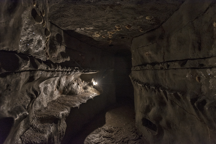 The lower level has a winding path with narrow passages, water features, and darker tunnels.