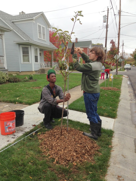 Tree planting is run by volunteers. Students help with a fall planting on Maple Street.