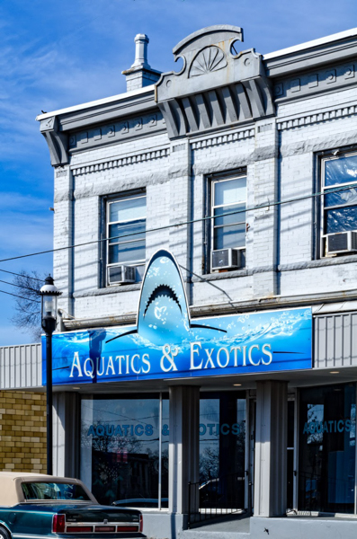 Aquatics & Exotics in Mt. Healthy