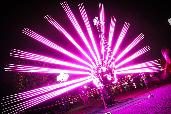 BLINK will feature more than 70 animated light shows, including a 40' x 20' illuminated peacock.
