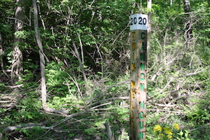  Trail markers in Tower Park pay homage to Ft. Thomas' military history. 