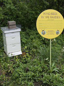 Bee boxes at the Civic Garden Center