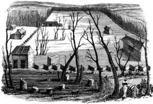 Trollope and her companions moved on to Cincinnati after finding the colony at Nashoba County, Tennessee less than utopian.