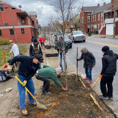 There have been four volunteer tree plantings totaling seventy-five trees with over seventy volunteers participating to date.