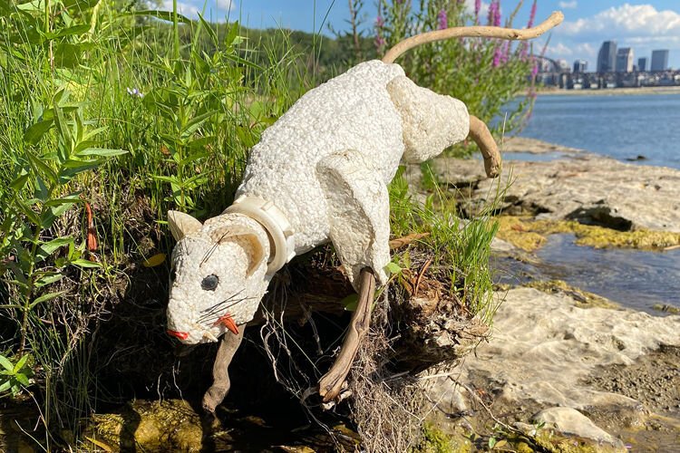 Albertus Gorman Styro smilodon and Clark's vole. Gorman collects junk from the Ohio River to make sculpture. 