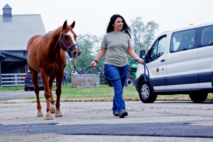 Horses on the Hill is a Price Hill facility that provides equine therapy to support hundreds of challenged populations.