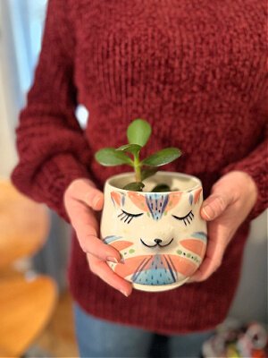 Whimsical ceramic artist Katie Swartz’s small animal-themed pots make a sweet home for a growing jade.