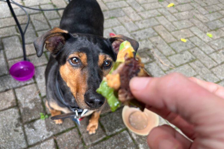 Upon first taste, Vince was taken aback. This was no Heinz 57.