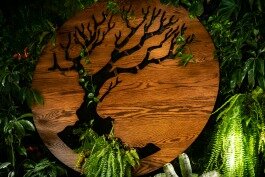 The "living wall" at MadTree Brewing