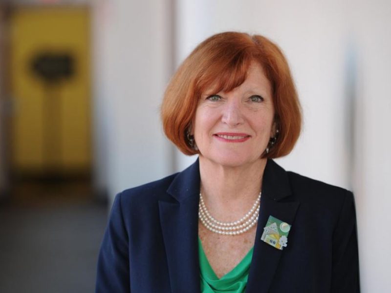 Peg Moertl, President/CEO of HCDC