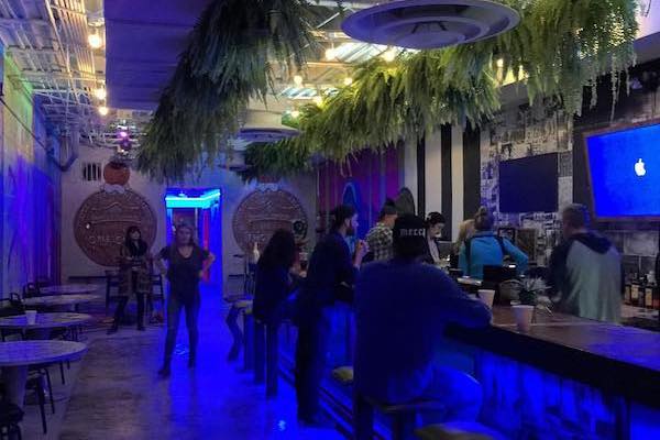 Inside, the walls of Mecca OTR are filled with work by different artists and live ferns hang from the ceiling.