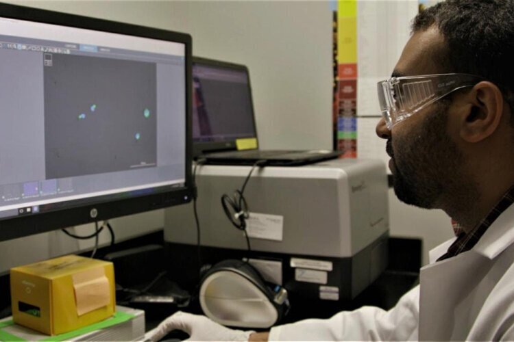 Bexion’s new drug has shown promise in treating brain cancer and other cancers.