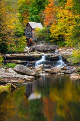 Color artwork by Tom Croce