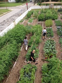 Sidestreams Garden in Madisonville