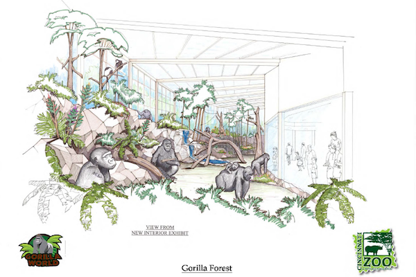 The new gorilla exhibit features a storm water catchment system and energy efficient initiatives.