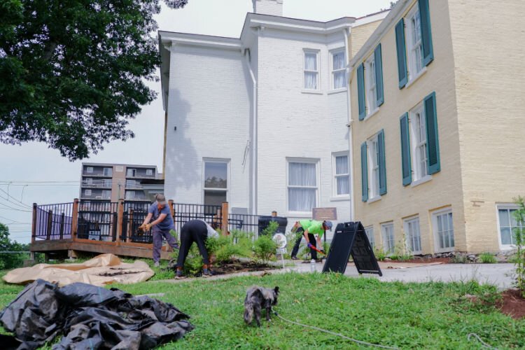 Volunteers work to remove black plastic and dyed mulch to make room for over 300 native  camas bulbs scheduled for planting.
